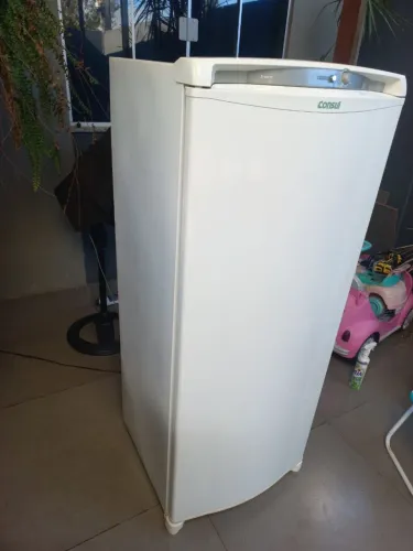 Freezer consul vertical