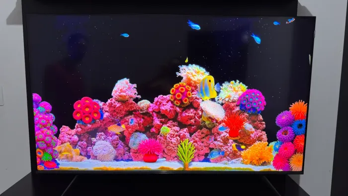 Televisão 55 QLED TCL