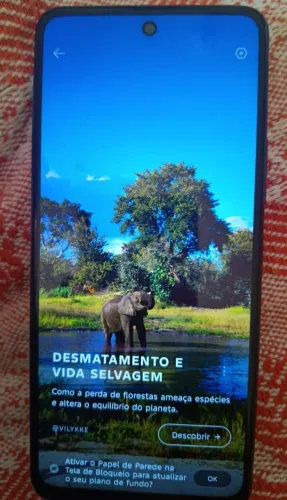 Celular 