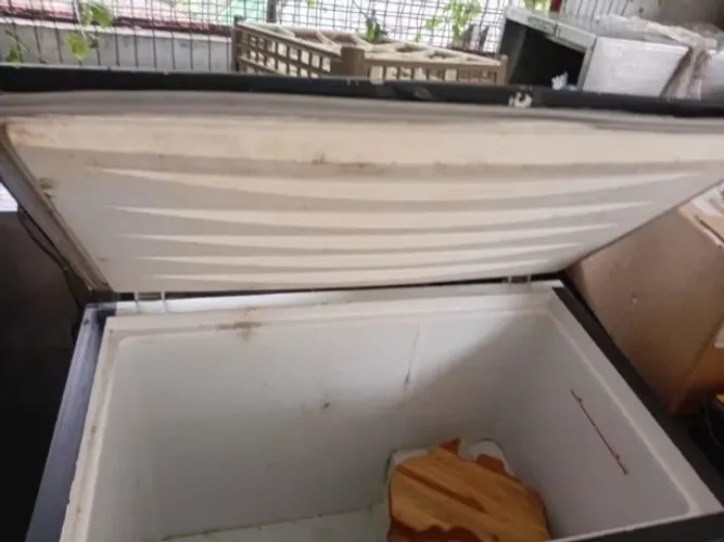 Freezer Horizontal 240l