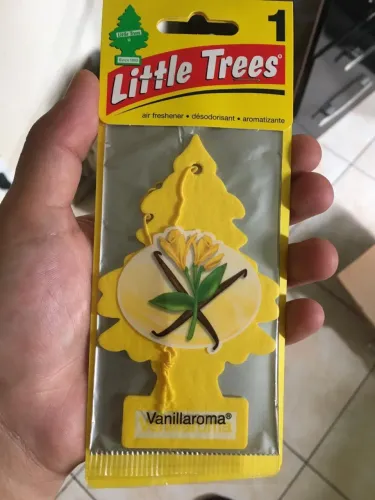 Little Trees