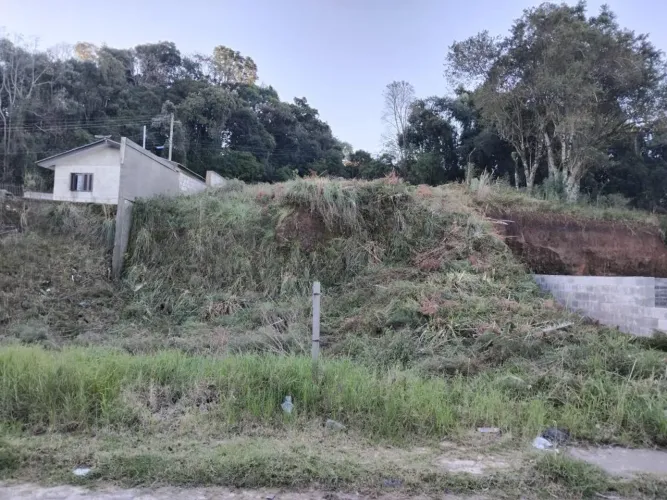 Terreno 6687