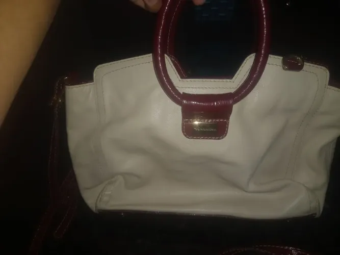 Bolsa  anandra  nova
