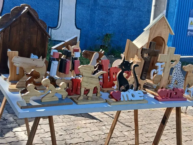 Montador de móveis e artesanato em madeira 