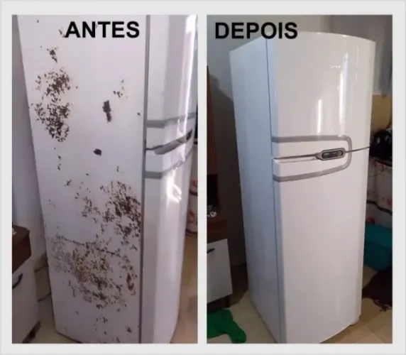 Envelopamento de geladeira R$ 250,00