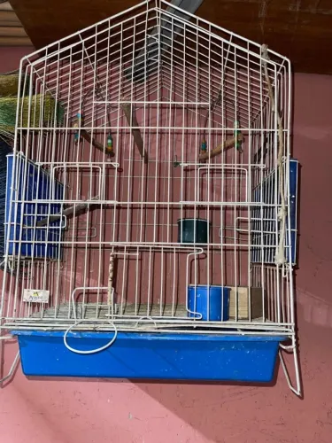 Gaiola metálica para aves domésticas pequenas