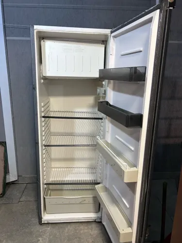 DESAPEGO GELADEIRA