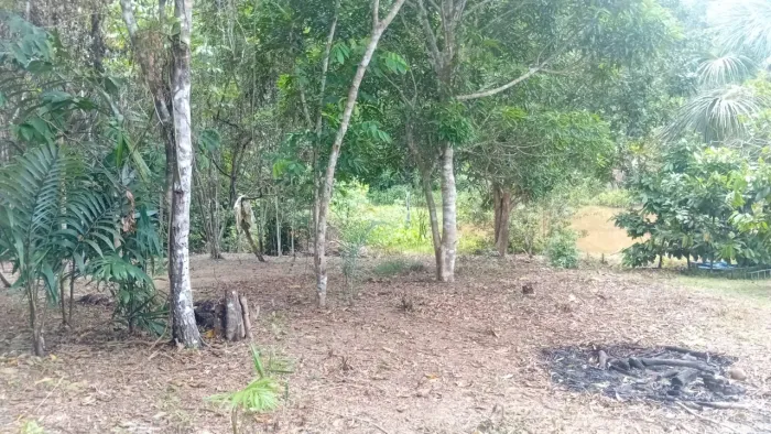 Terreno, Sítio, Chácara
