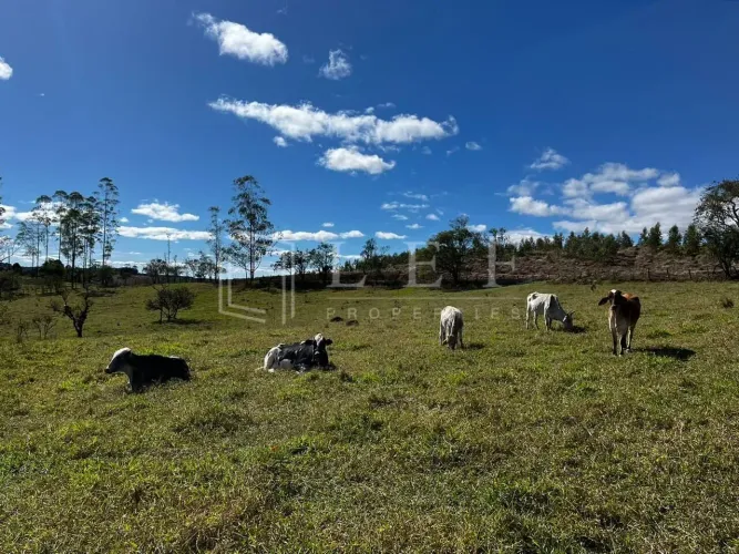 Sitio a Venda em Pilar do Sul - SP