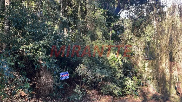 Terreno em Serra Da Cantareira