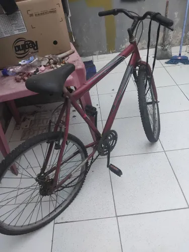 Bicicleta