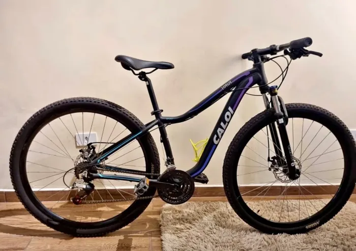 Bicicleta Caloi Lotus Feminina Aro 29