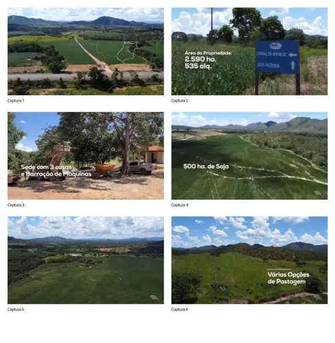 Fazenda Santa Helena/Vila propício GO