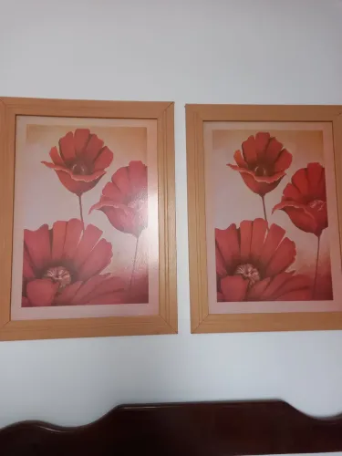 KIT DE QUADROS FLORAIS