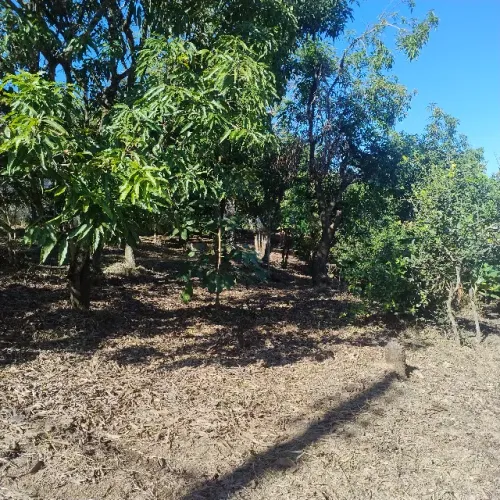 2 terrenos urbanos em Riversul - 997,82 m² - venda conjunta ou separada