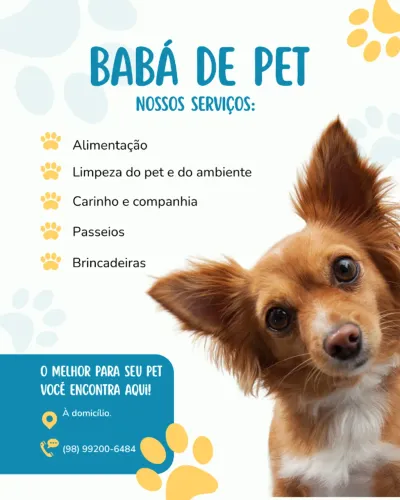 Babá de PET