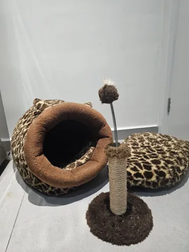CAMINHA GATO FILHOTE E ADULTO + BRINQUEDO