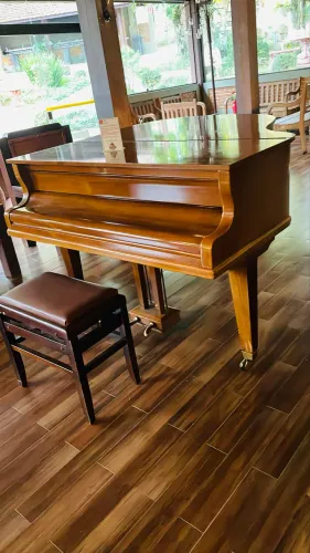Piano de cauda vendo 