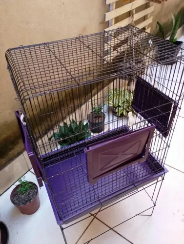 Vendo gaiola 