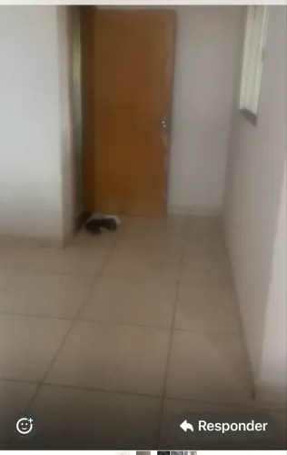 aluga se kit um quarto sem avalista