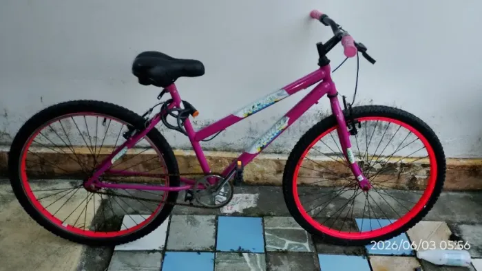 Bicicleta Feminina Aro 26