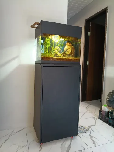Aquário completo