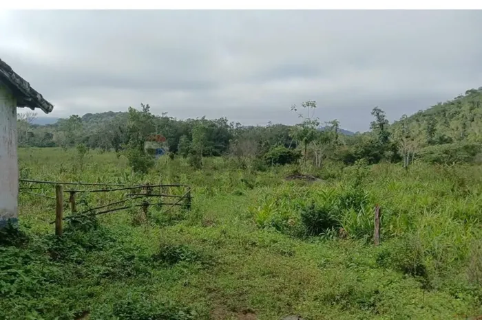 SÍTIO RIO BRANCO DO ITINGUSSU | 72,83 HECTARES | IGUAPE/SP