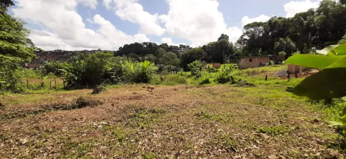 TERRENO EM CAJAZEIRAS 7