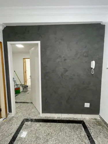 Pintor profissional 