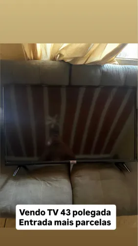 TV TCL SMART 43