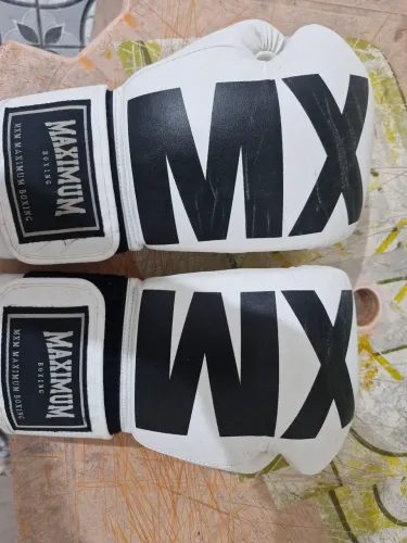 muay thai