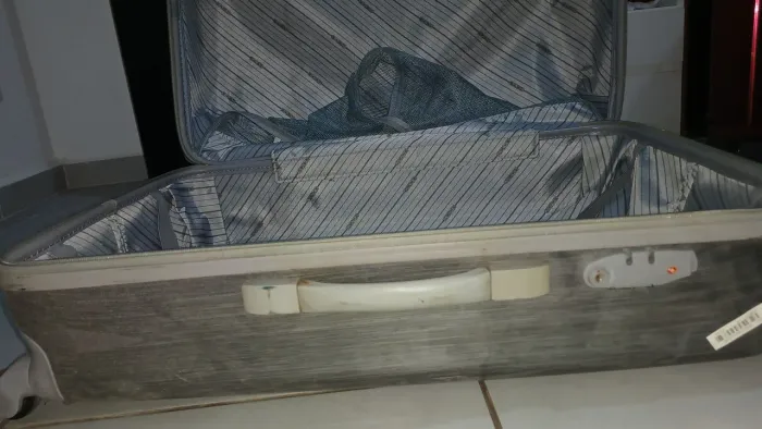 Mala baggagio cinza