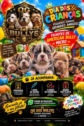 Dia das crianças chegando seu pequeno(a) nao pode ficar fora dessa né