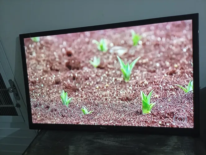 Tv plasma 43