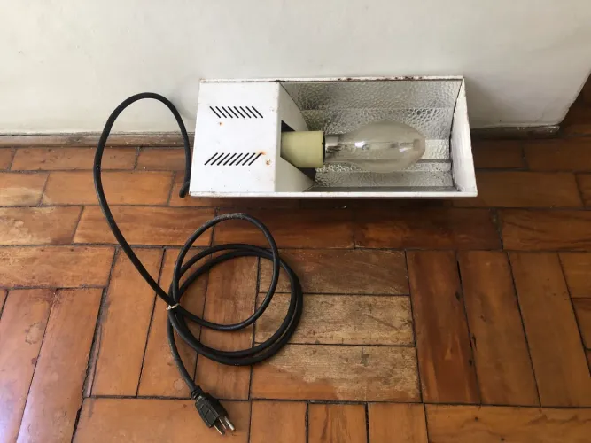 Luz de Cultivo