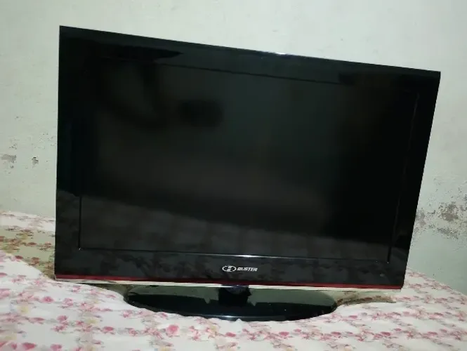 Televisão