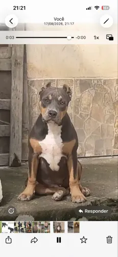 Pit monster macho
