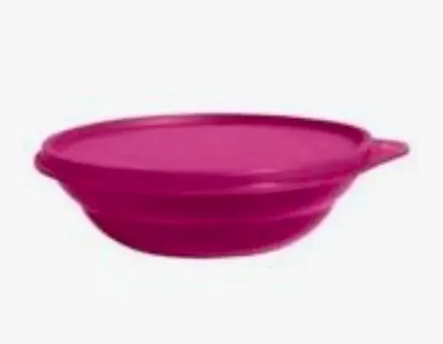 Prajela Tupperware 450ml