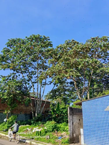 Terreno