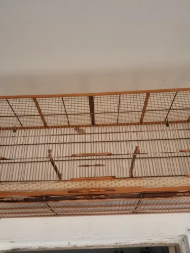 GAIOLA VOADOR DE 1M