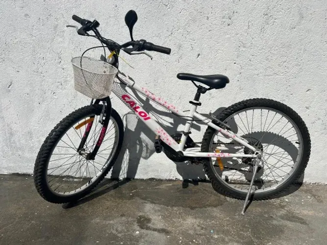 Bicicletas Femininas e Masculinas - Uso Pessoal