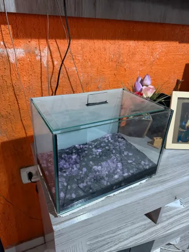 Aquário de 20 Lt