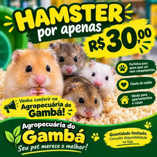 Vendo Hamster