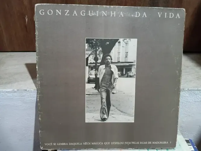 Kit 3 LPs MPB Anos 70/80 - Gonzaguinha + Taiguara + Cesar Costa Filho - Vinil