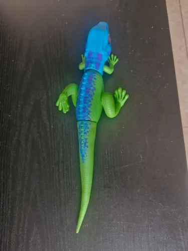 Lagarto corredor