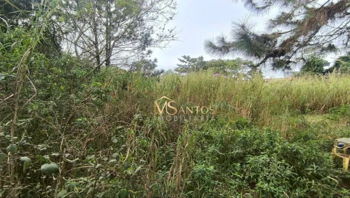 Terreno à venda, 666 m² por R$ 530.000,00 - São João do Rio Vermelho - Florianópolis/SC
