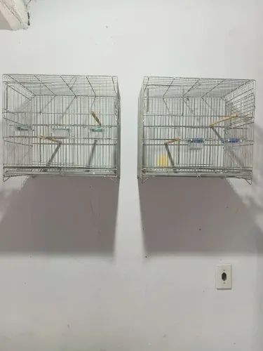 Gaiolas
