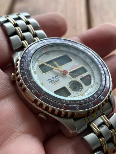 Raro Citizen Promaster World Time