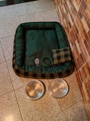 Caminha Para Cachorro