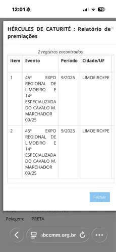 Cavalo mangalarga Marchador